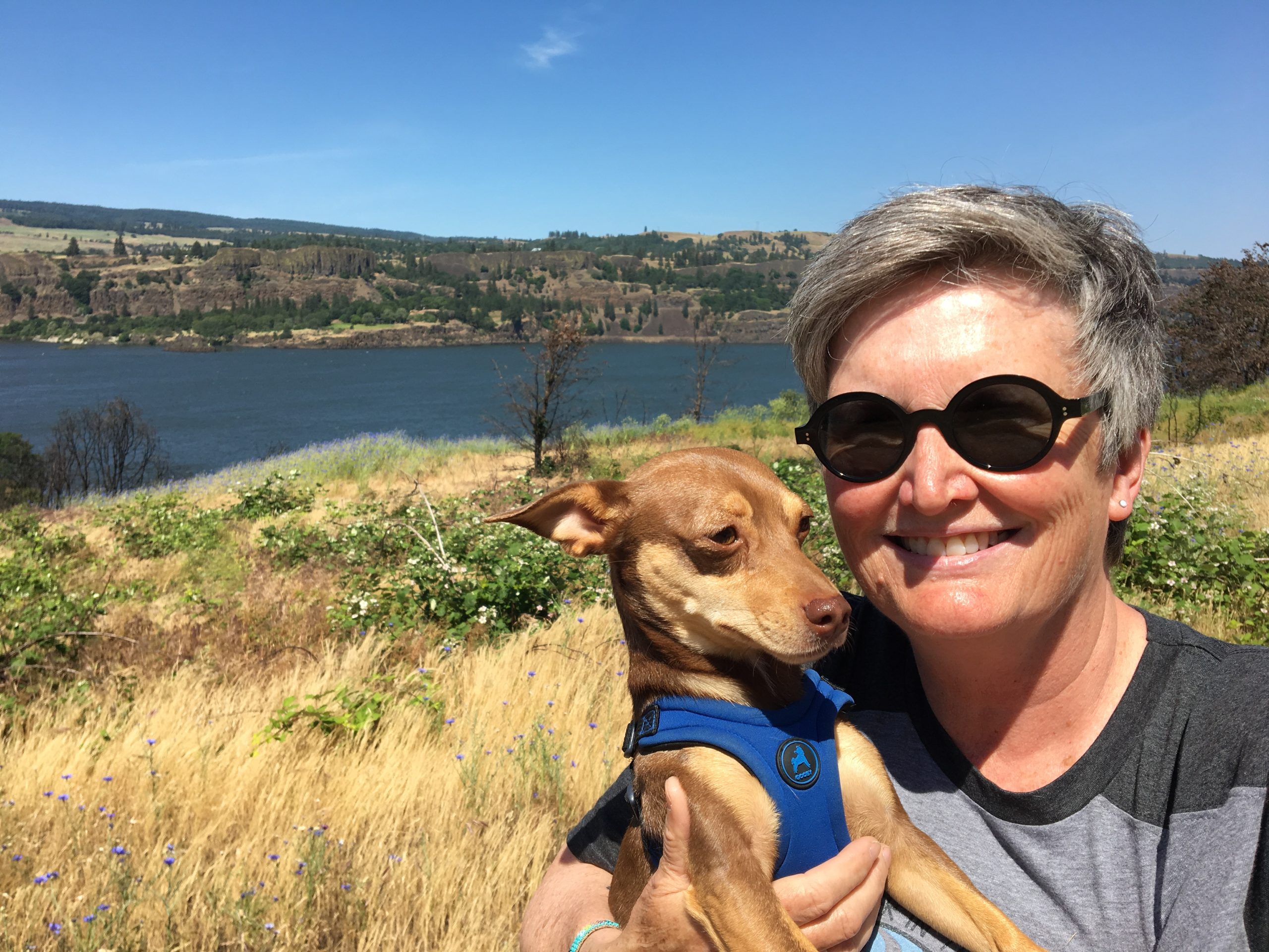Road Trip 2019 Part III: Oregon-Bound Weather and Wayfinding
