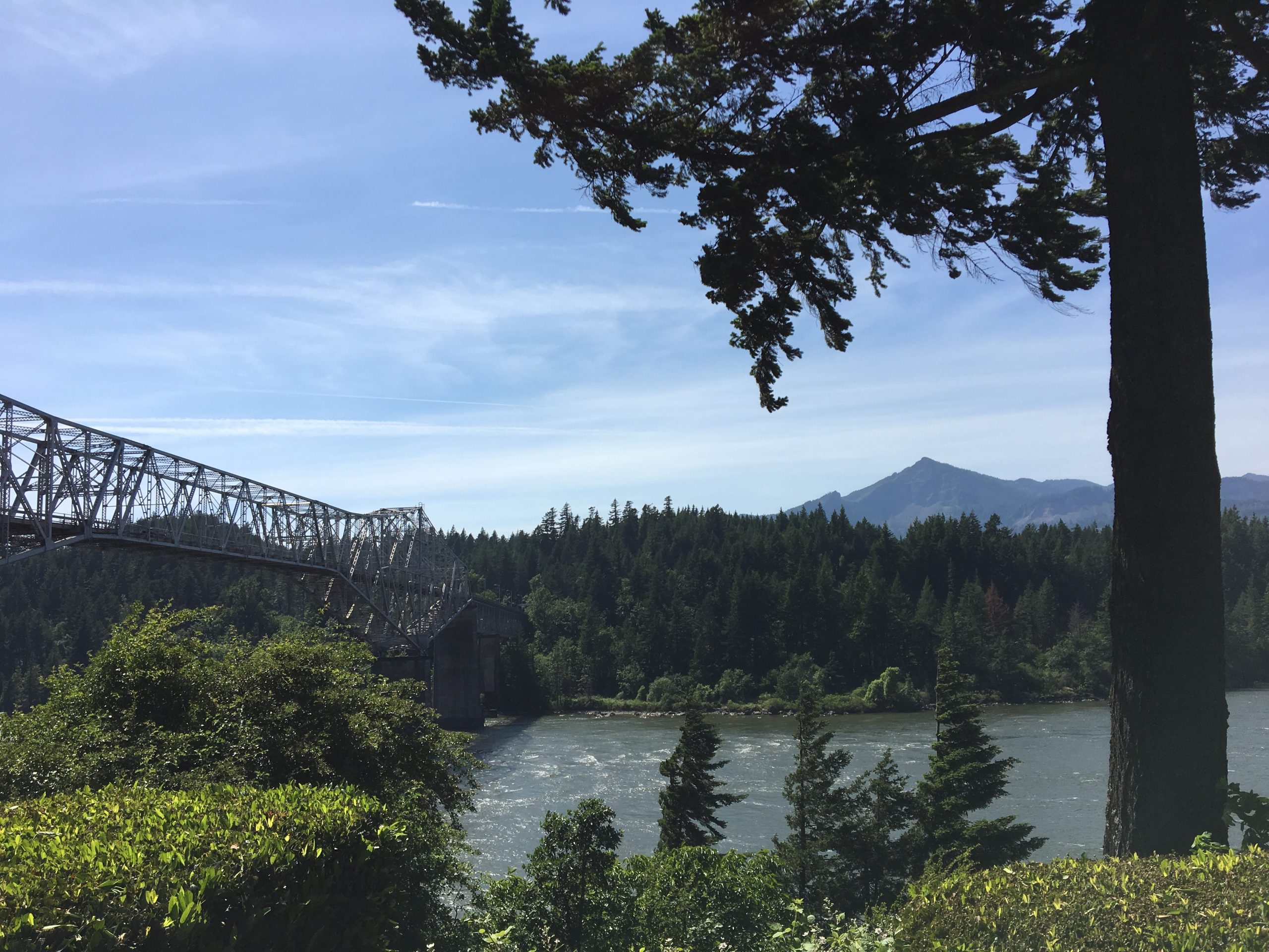 Road Trip 2019 Part VI: A Log on Rivers and Lakes