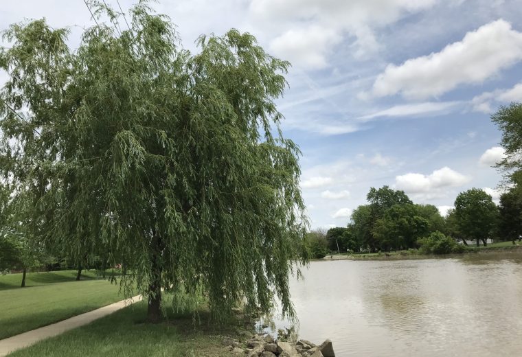 Road Trip 2019 Part V: Purpose and Discovery