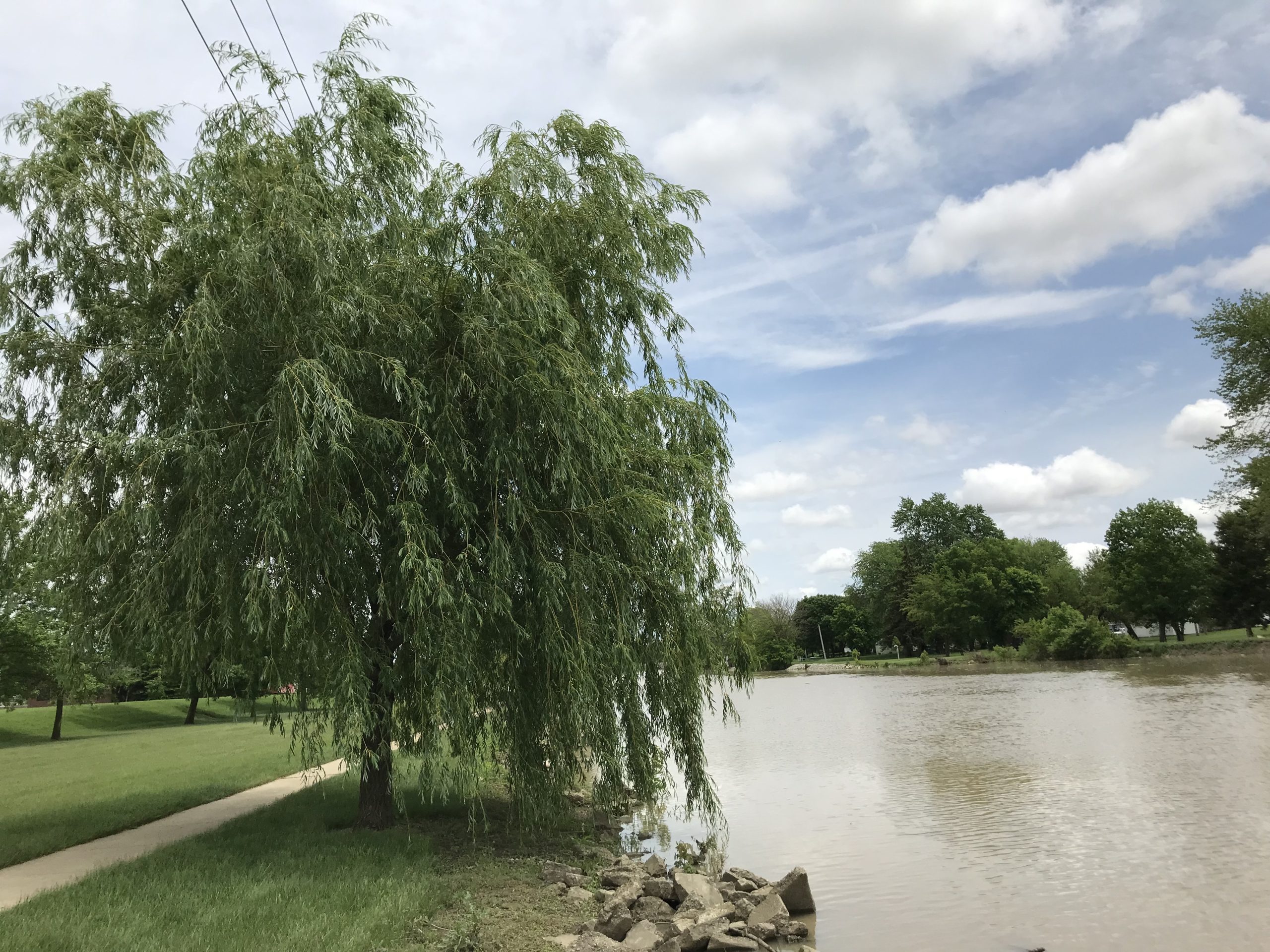 Road Trip 2019 Part V: Purpose and Discovery