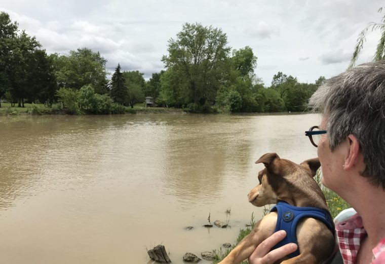 Road Trip 2019 Part II: Ohio-Bound Weather and Wayfinding