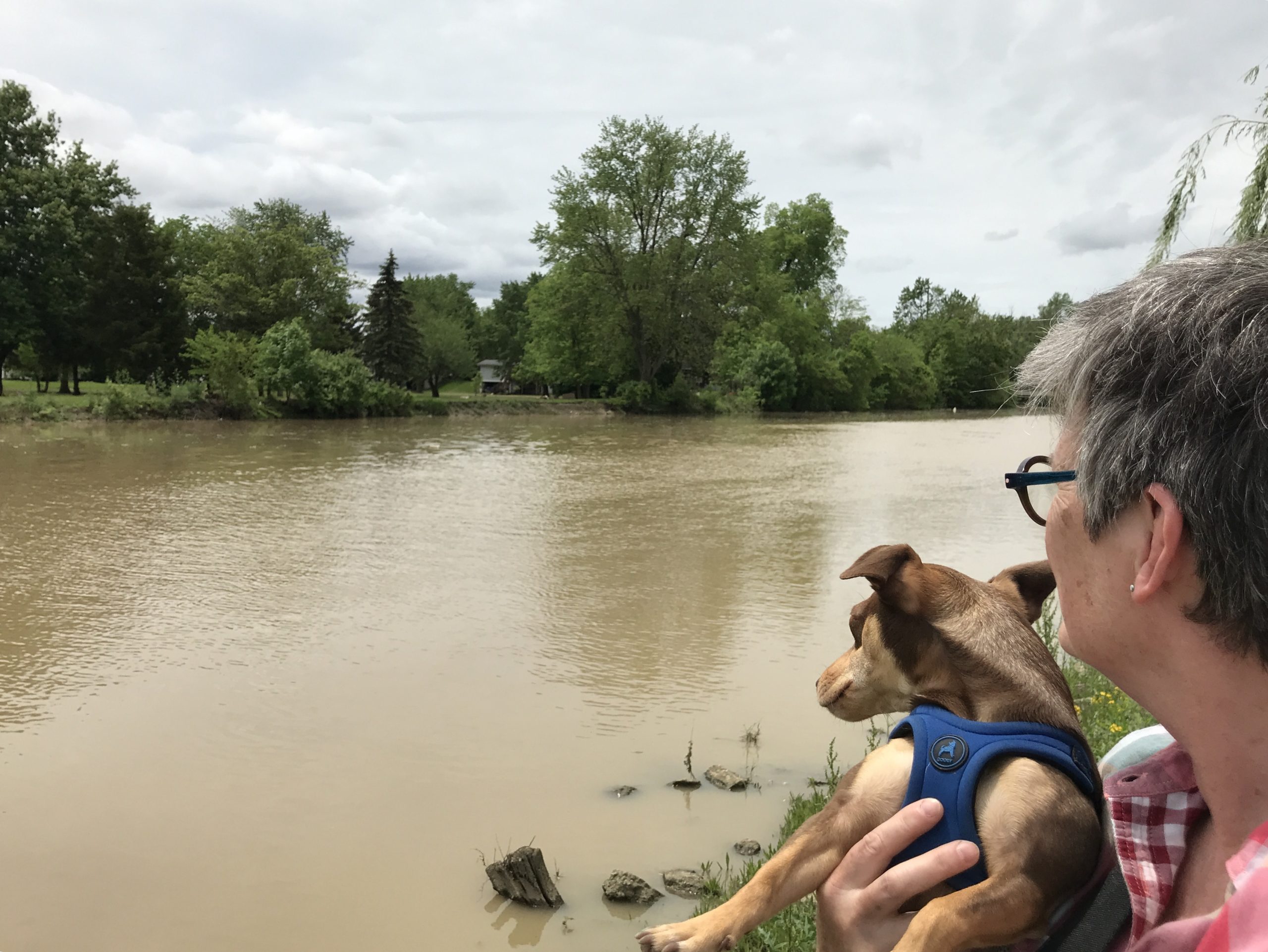Road Trip 2019 Part II: Ohio-Bound Weather and Wayfinding