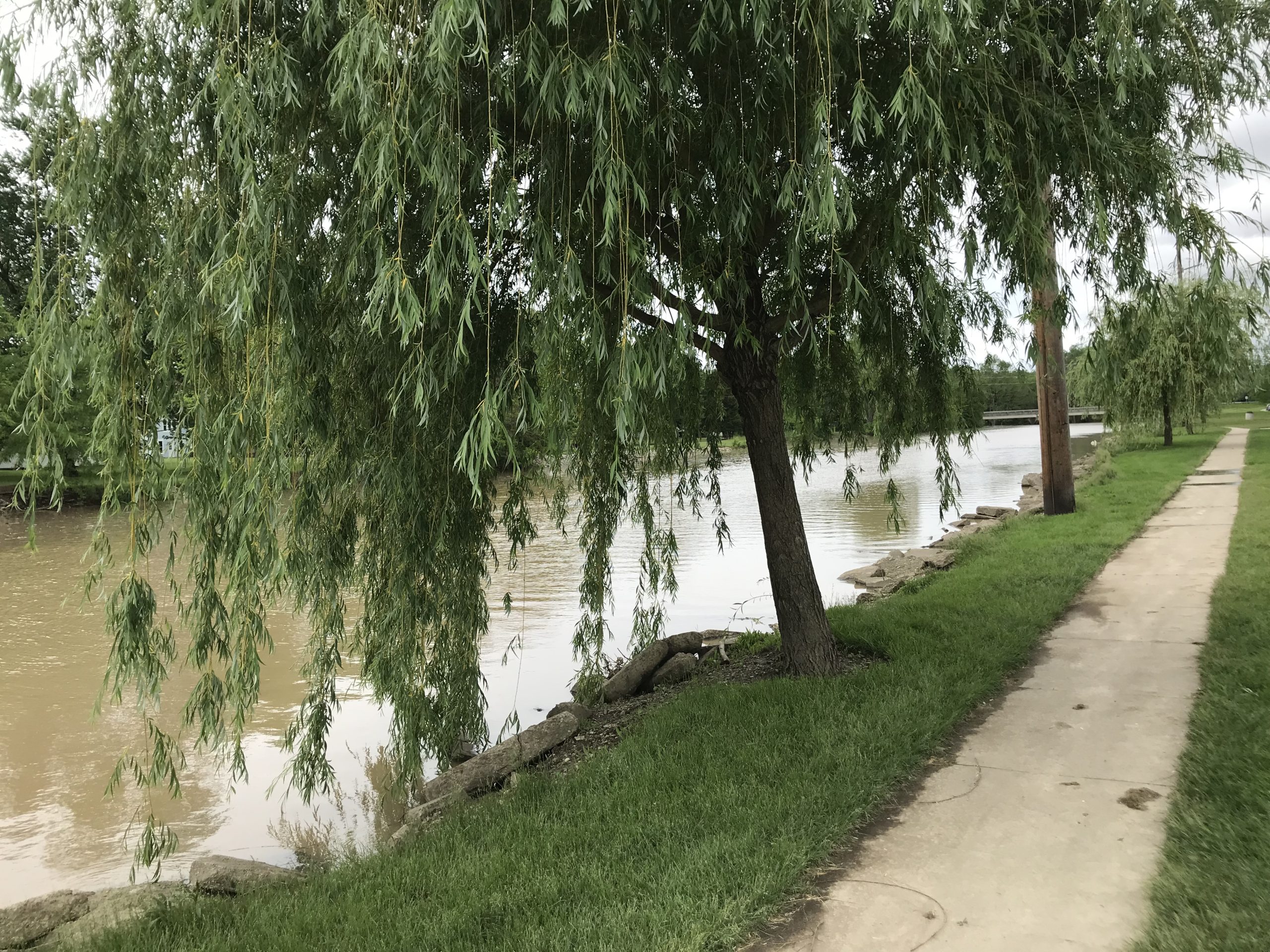 Road Trip 2019 Part IV: Going Home Again
