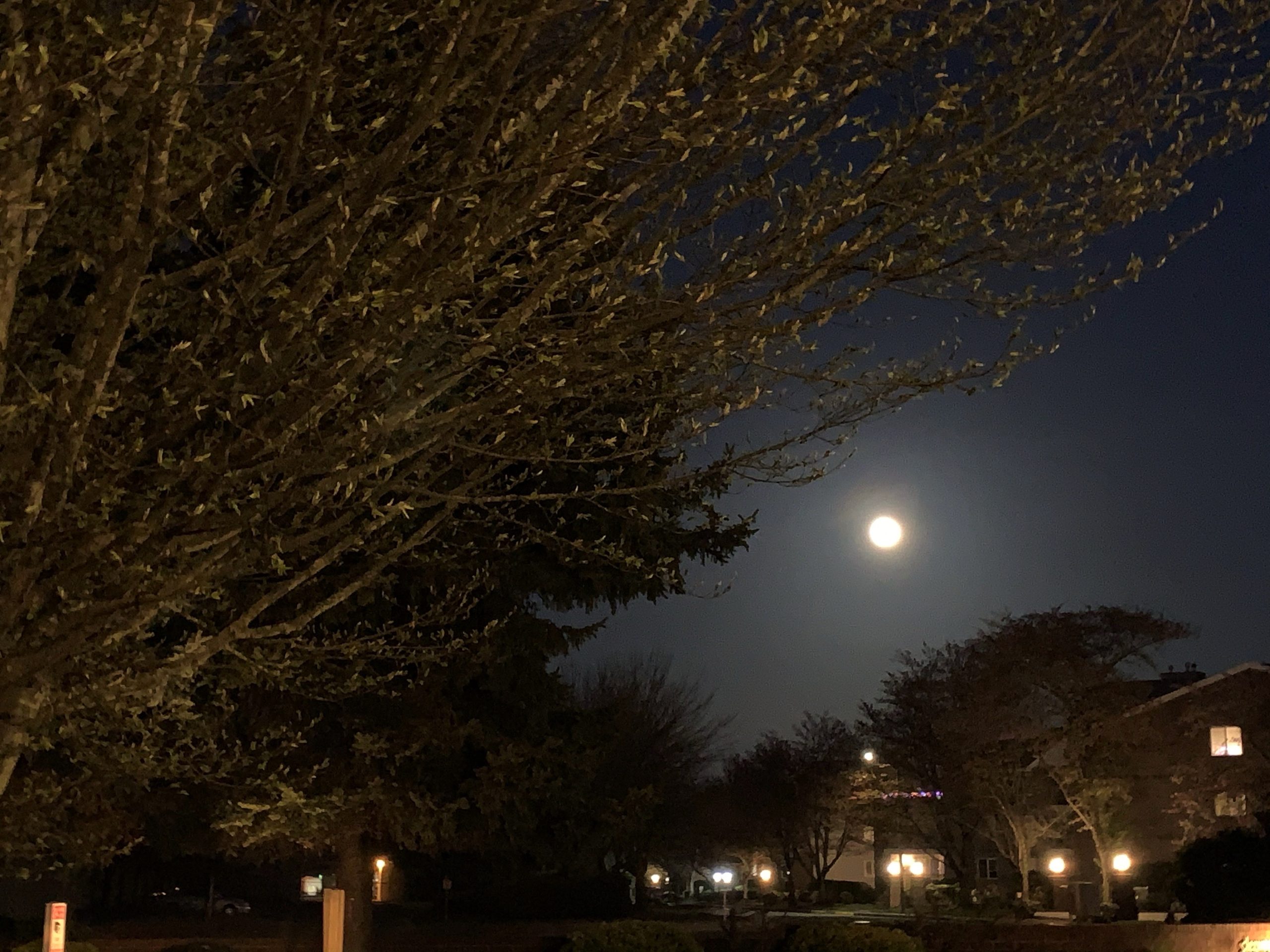 Evening Sighs