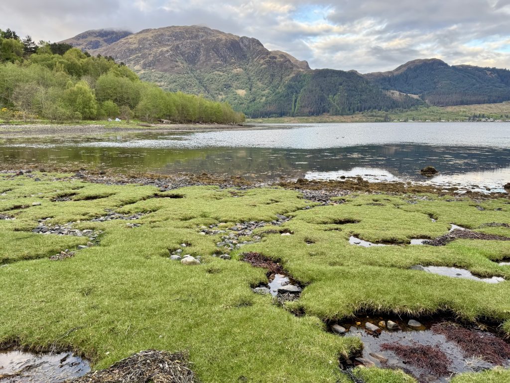 Loch Duich and the Glen Shiel Ridges, Scottish Highlands.