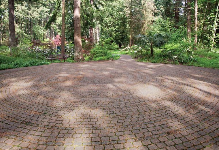 No Picnic: The Broken Maze of Medicare and Retirement
