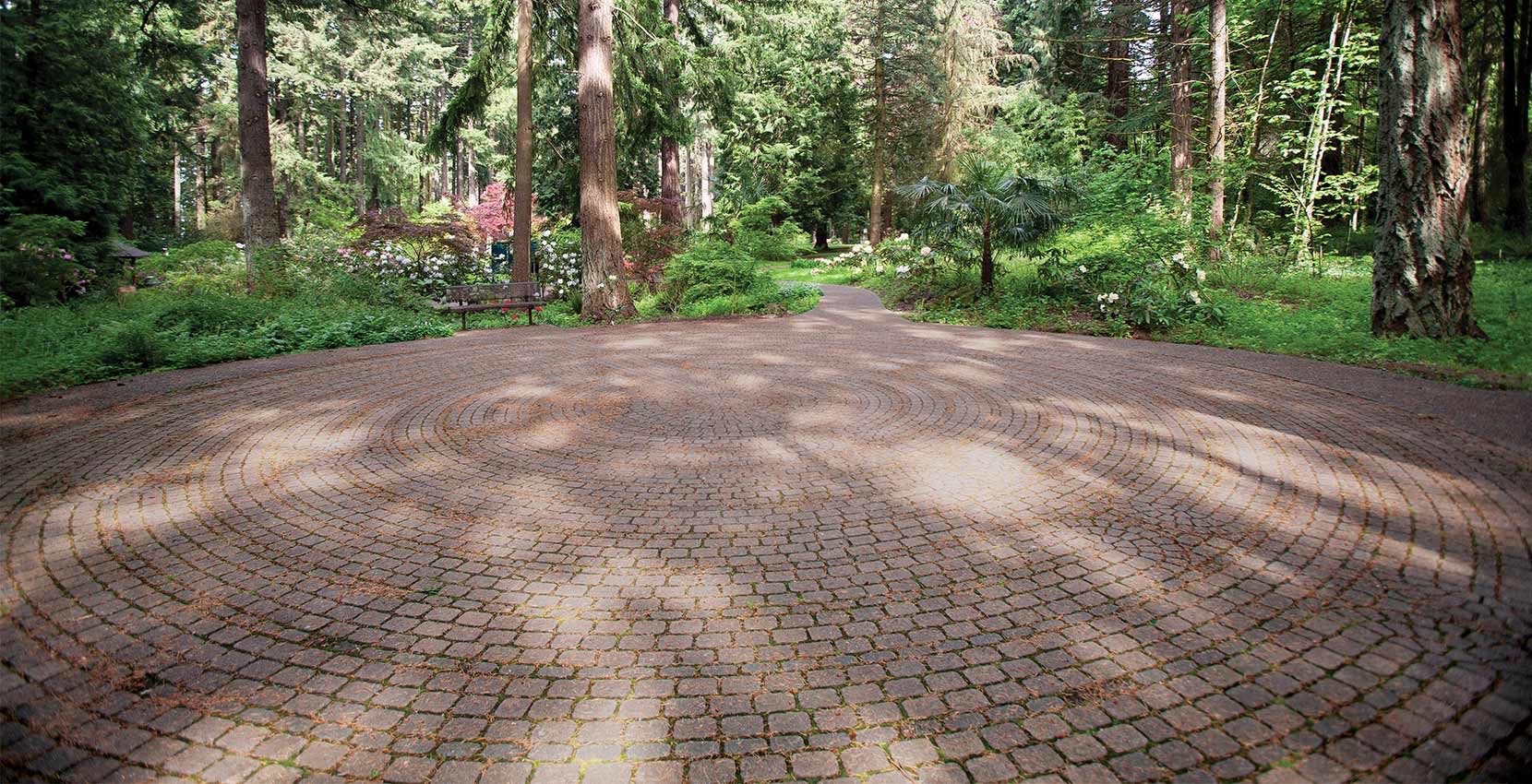 No Picnic: The Broken Maze of Medicare and Retirement