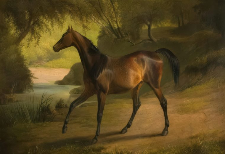 Brown horse walks on a path near water.