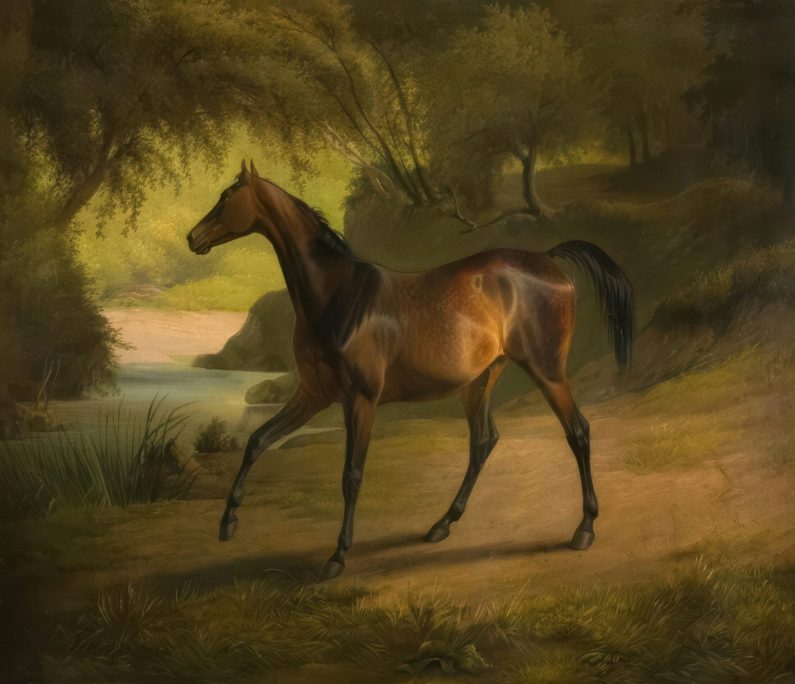 Brown horse walks on a path near water.